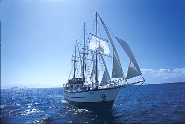 Island Windjammers Sagitta Cruise: Expert Review (2023)